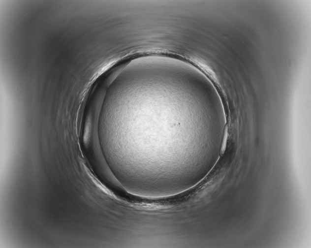 X0000085740389200703161033