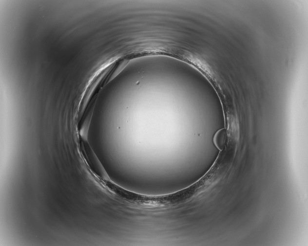 X0000085740390200703161033