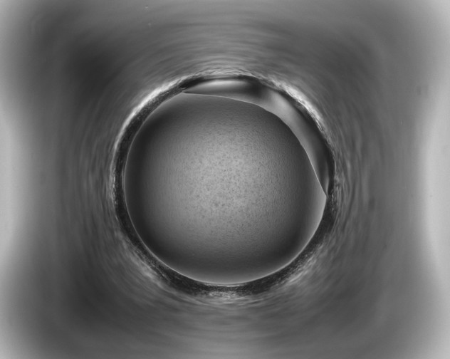 X0000085740391200703161033