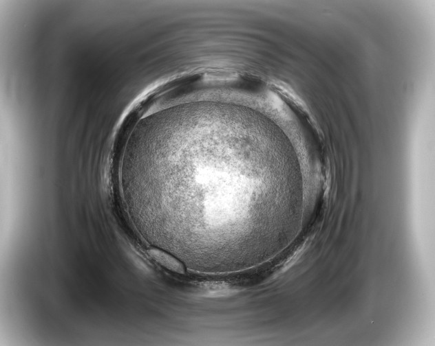 X0000085740392200703161033