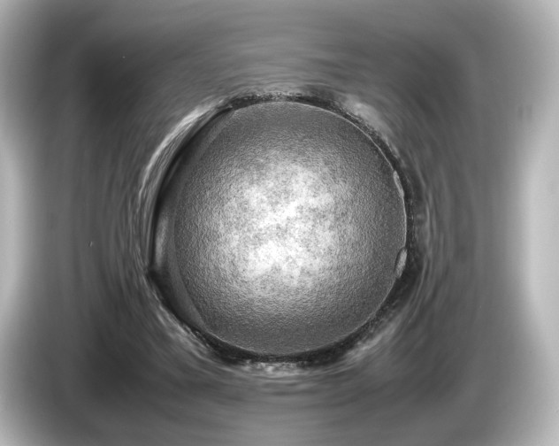 X0000085740395200703161032