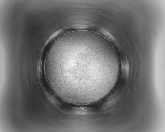 X0000085740396200703161032