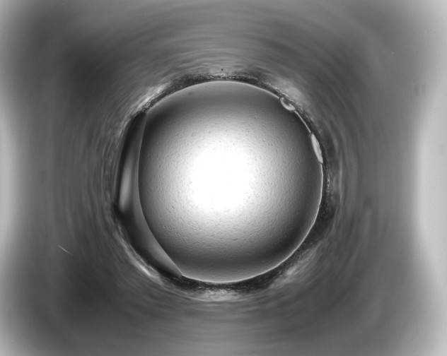 X0000085740397200703161032