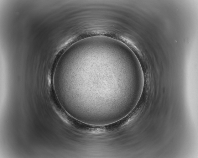 X0000085740398200703161032