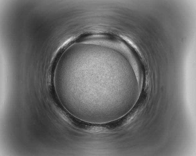 X0000085740399200703161032