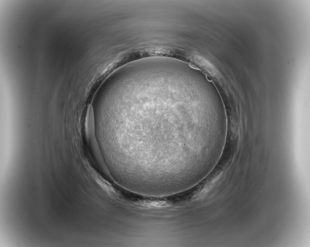 X0000085740401200703161032
