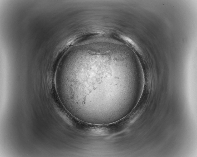 X0000085740402200703161032