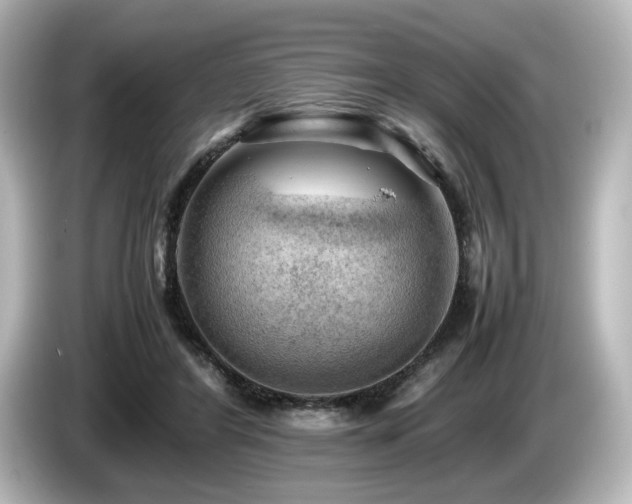 X0000085740404200703161032