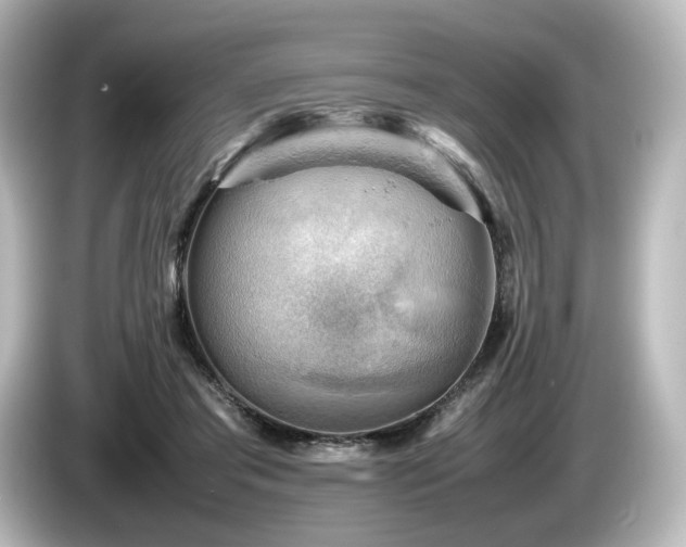 X0000085740405200703161032