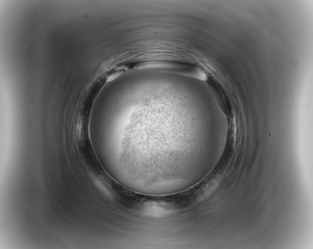 X0000085740408200703161032