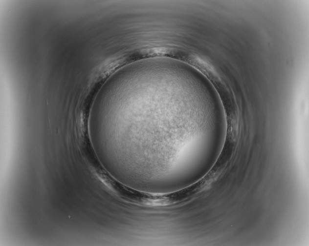 X0000085740410200703161032