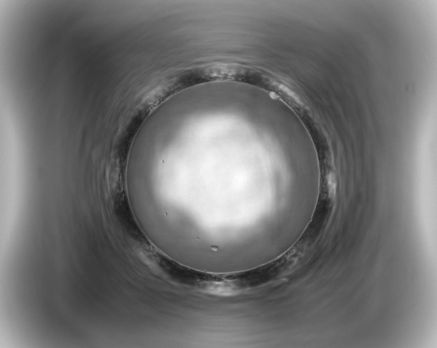 X0000085740411200703161032