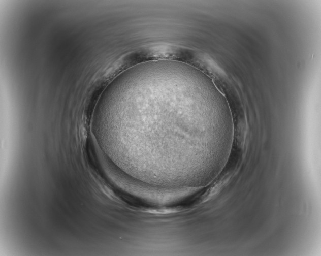 X0000085740413200703161032
