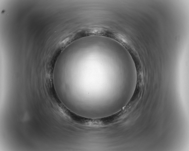 X0000085740415200703161032