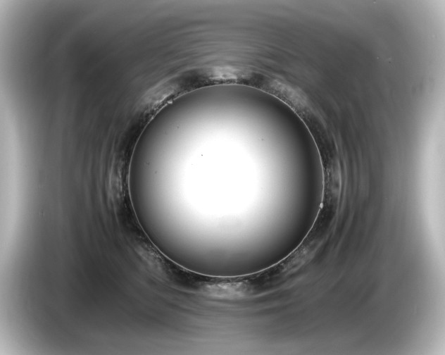 X0000085740422200703161032