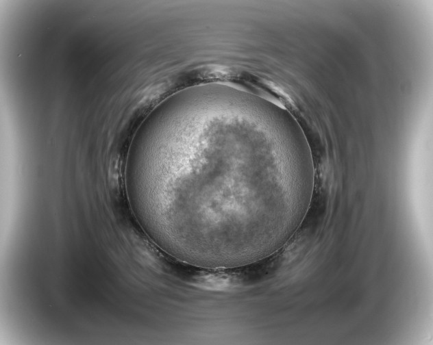 X0000085740423200703161032