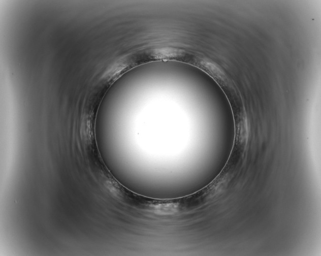 X0000085740426200703161032