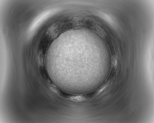 X0000085740431200703161032
