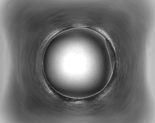X0000085740433200703161031