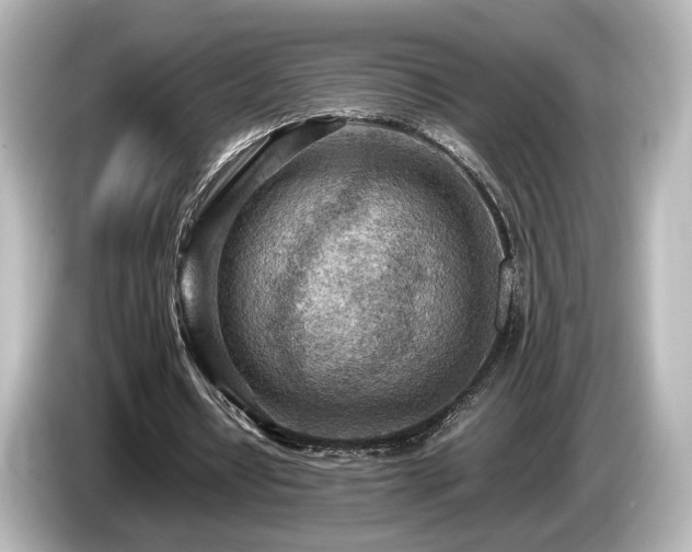 X0000085740434200703161031