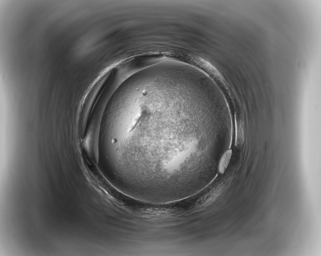X0000085740435200703161031