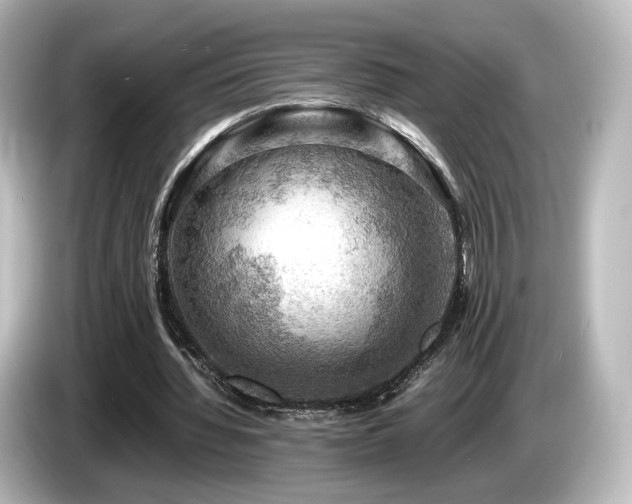X0000085740436200703161031