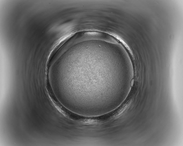 X0000085740437200703161031