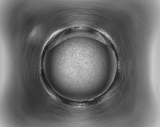 X0000085740438200703161031