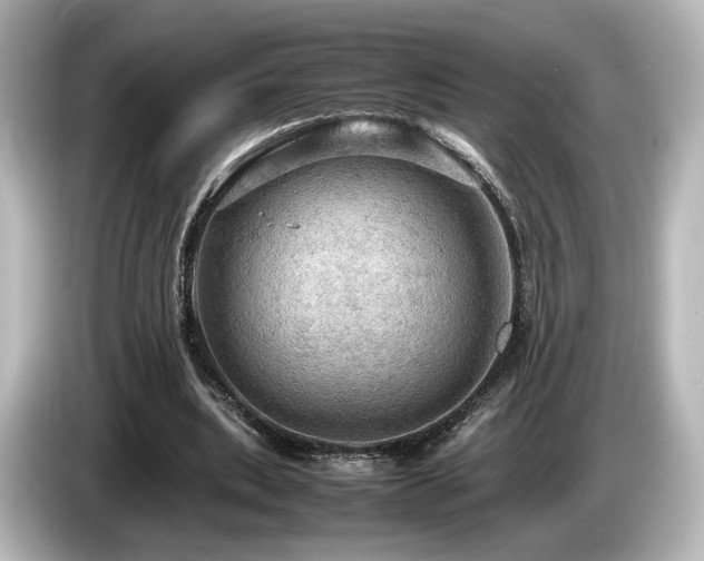 X0000085740439200703161031