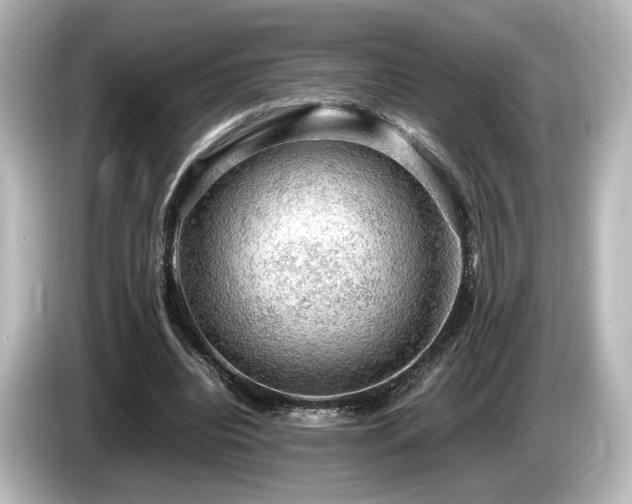 X0000085740440200703161031