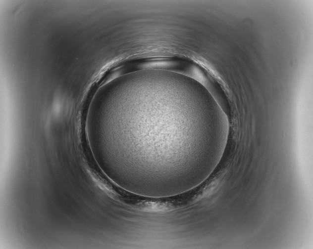 X0000085740442200703161031