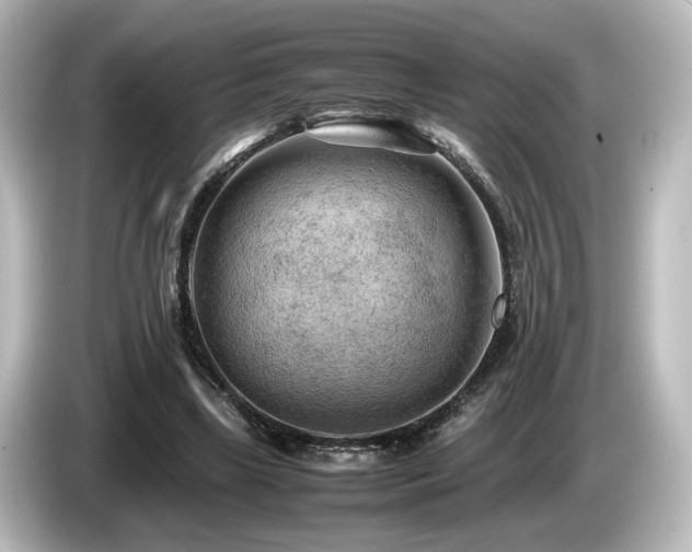 X0000085740443200703161031