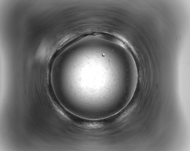 X0000085740445200703161031