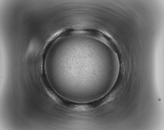 X0000085740446200703161031