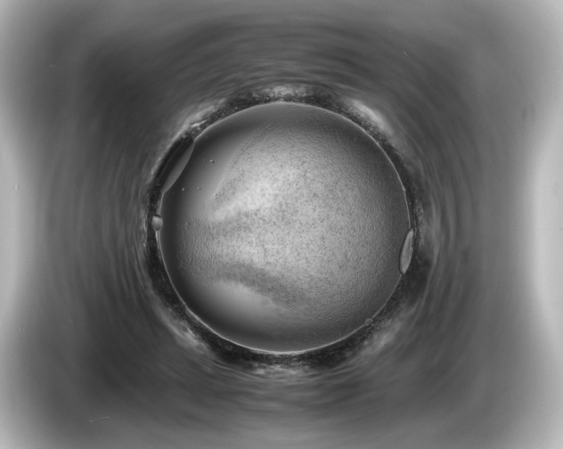 X0000085740447200703161031