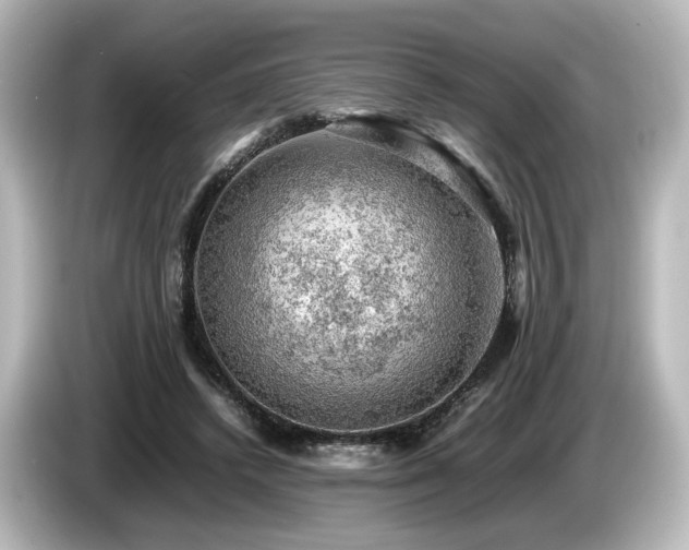 X0000085740448200703161031