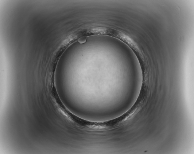 X0000085740449200703161032
