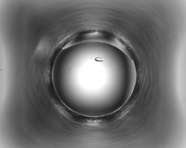X0000085740450200703161032