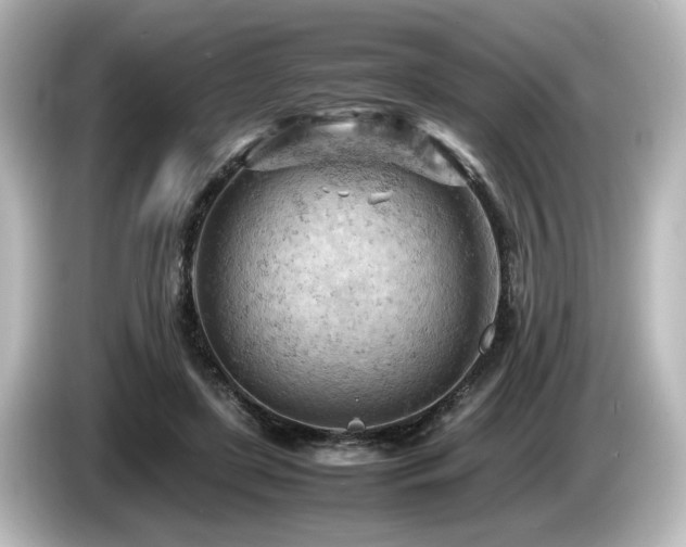 X0000085740451200703161032
