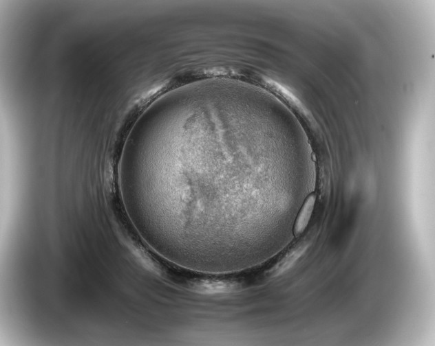 X0000085740453200703161032