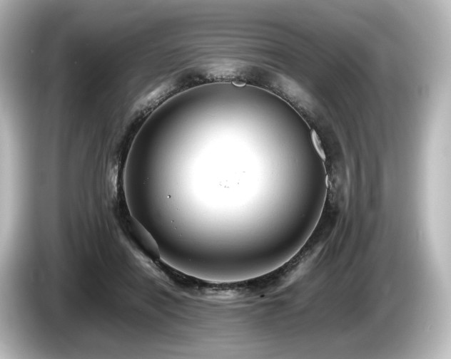 X0000085740454200703161032