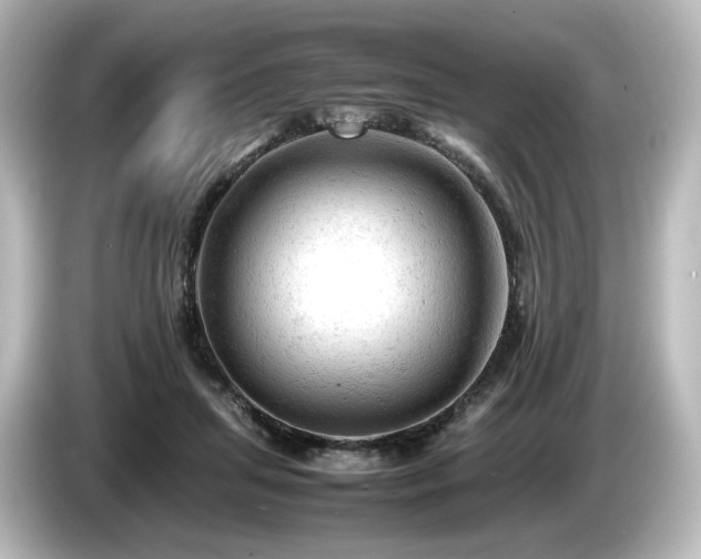 X0000085740455200703161032