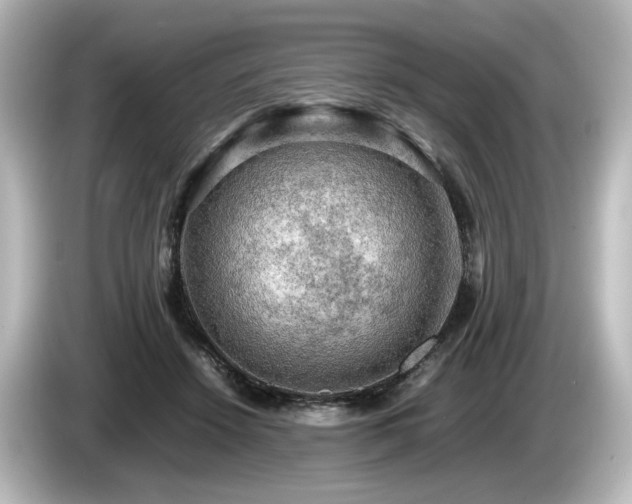 X0000085740456200703161032