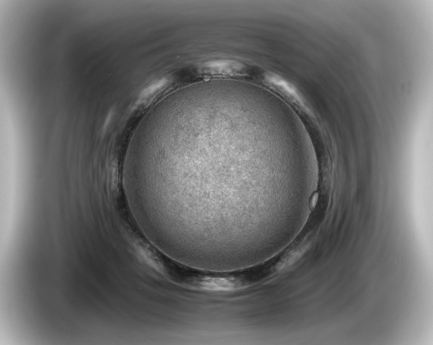 X0000085740457200703161032