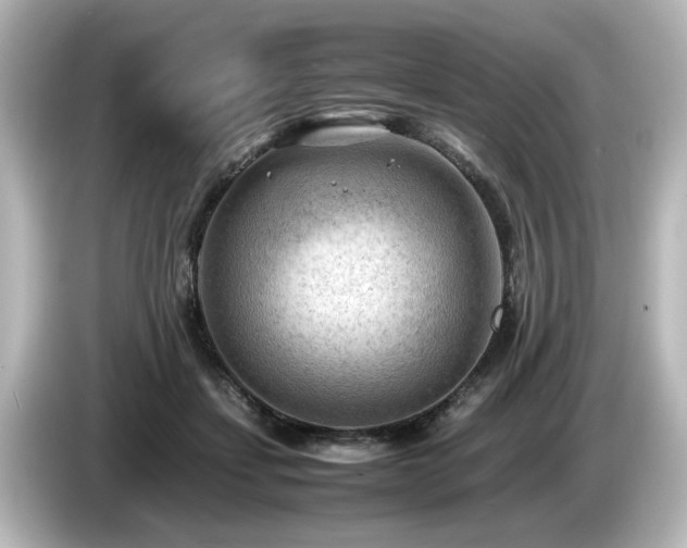 X0000085740459200703161032