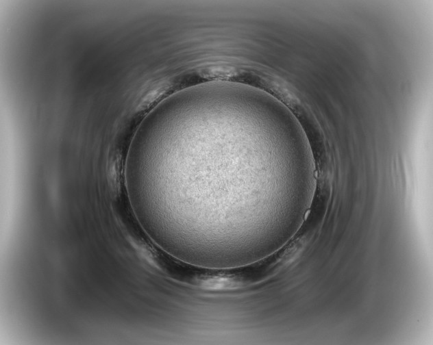 X0000085740460200703161032