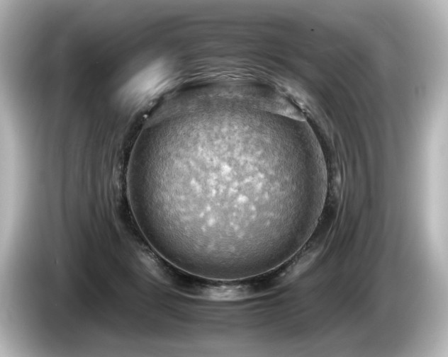X0000085740461200703161032