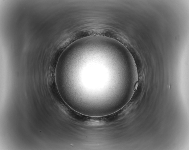 X0000085740464200703161032