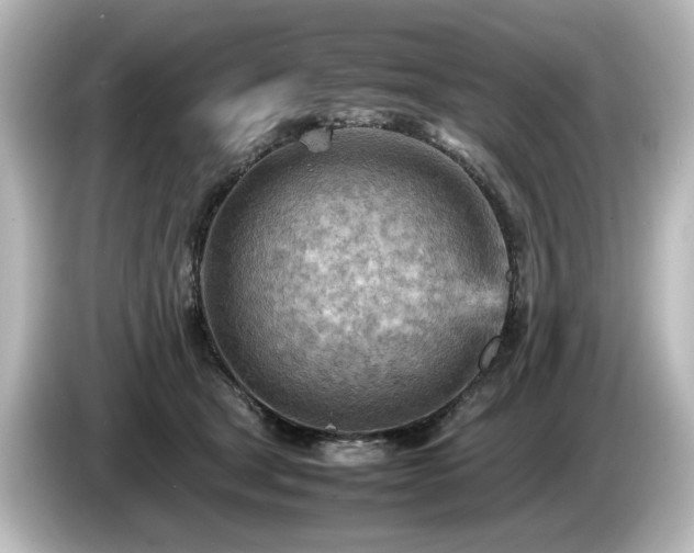 X0000085740465200703161032