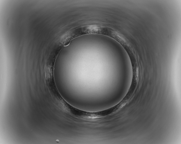 X0000085740467200703161032